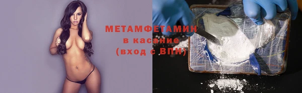 индика Аркадак