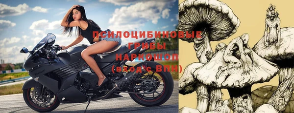 молекула духа Арсеньев