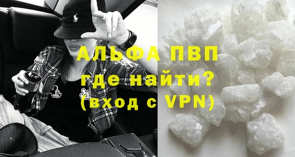 молекула духа Арсеньев