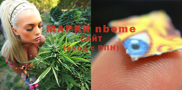 индика Аркадак