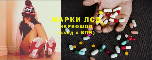 индика Аркадак