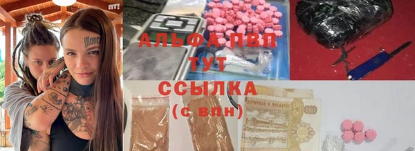 индика Аркадак