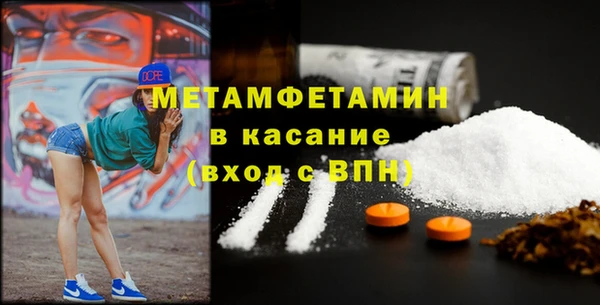 индика Аркадак