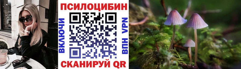 Псилоцибиновые грибы Magic Shrooms  Усть-Кут 